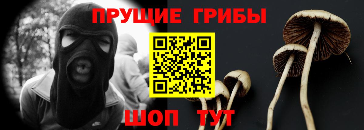 Галлюциногенные грибы Cubensis  Галлюциногенные грибы ЛСД  Мариинск  Вход с VPN 